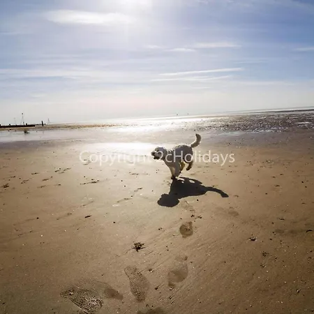 Dog Friendly 6 Berth Static Caravan By The Beach In Hunstanton Ref 13008L Exterior photo