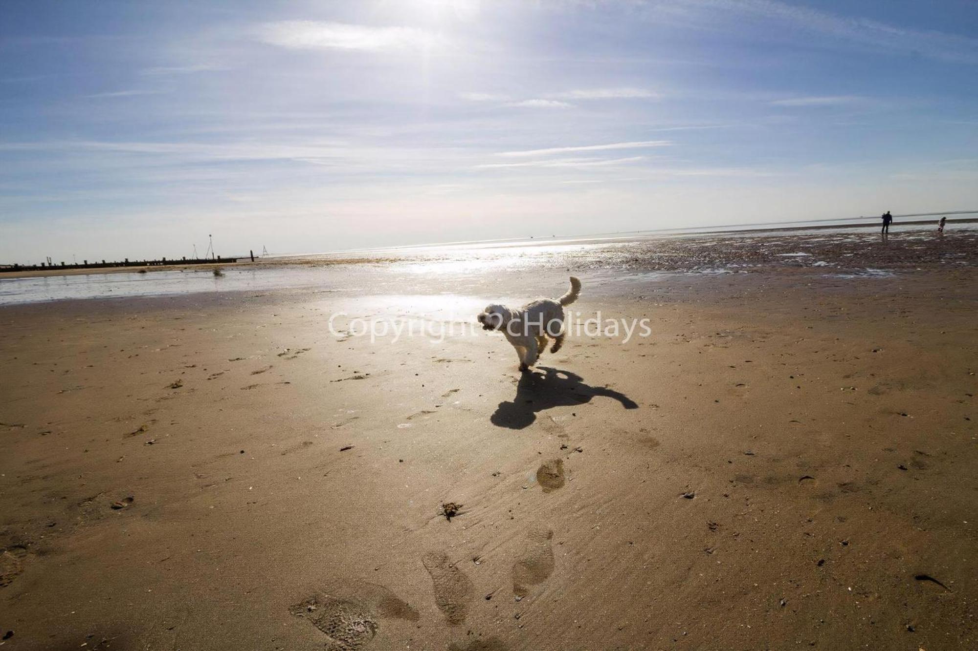 Dog Friendly 6 Berth Static Caravan By The In Ref 13008l Campingplatz Hunstanton
